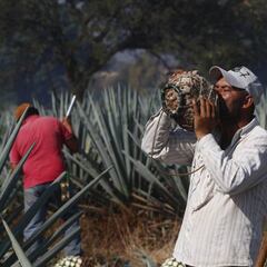 Créditos a la Palabra del IMSS: ¿puedo recibirlo si no estoy censado o trabajo por mi cuenta?