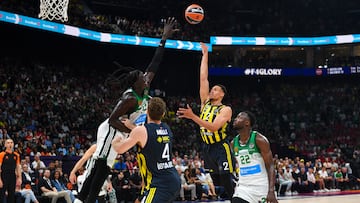 Zarpazo al campeón