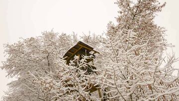 Monterías en enero: cómo protegernos del frío