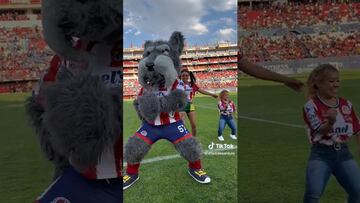 ‘Lucho’, mascota del Atlético San Luis se aventó paso mítico del Sonido Pirata