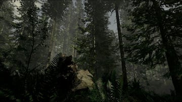 Captura de pantalla - The Forest (PC)