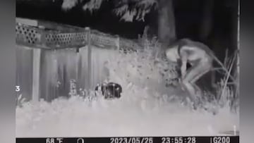 Se hace viral el video de los extraterrestres en Las Vegas captados por una cámara de seguridad