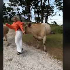 Una tiktoker española se hace viral tras ser embestida por una vaca en Galicia