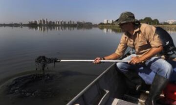 Así están las aguas de Río a pocos días de los JJ.OO.