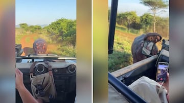 Le persigue un hipopótamo a toda velocidad para comérselo e increíble lo que hace el turista