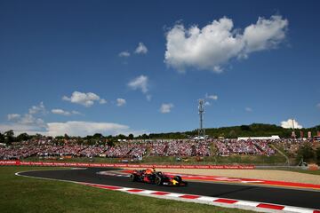 Daniel Ricciardo.