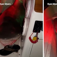 Un tiburón toro salta encima de un barco lleno de pescadores