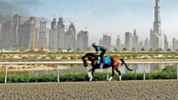<b>CON LOS RASCACIELOS AL FONDO. </b>Un caballo galopa en el hipódromo de Nad Al Sheba, en el que se celebró la Dubai World Cup, con gigantescos edifi cios en el horizonte.