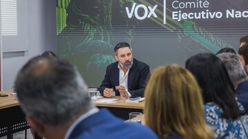 El líder de VOX, Santiago Abascal, durante una reunión extraordinaria del Comité Ejecutivo Nacional de VOX, en la que han decidido romper los gobiernos de coalición con el PP, en su sede, a 11 de julio de 2024, en Madrid (España). Dicho acto se produce tras dar por rotos los cinco gobiernos autonómicos en los que participan en coalición, por aceptar esta última formación el reparto por toda España de menores inmigrantes no acompañados llegados a las islas Canarias.
11 JULIO 2024;VOX;ABASCAL;COMITÉ EJECUTIVO NACIONAL;RUPTURA;PP;EXTRAORDINARIA;
VOX
11/07/2024