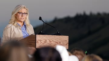As primary season is coming to a close, yesterday, voters in Alaska and Wyoming made their voices heard. Liz Cheney is out...