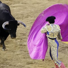 Toros Fallas 2017: el cartel y la polémica levantada