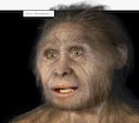 Hace 50.000 años una misteriosa especie humana desapareció sin dejar rastro: ahora se cree haber resuelto el misterio