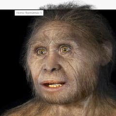 Hace 50.000 años una misteriosa especie humana desapareció sin dejar rastro: ahora se cree haber resuelto el misterio