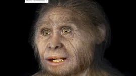 Hace 50.000 años una misteriosa especie humana desapareció sin dejar rastro: ahora se cree haber resuelto el misterio