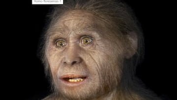 Hace 50.000 años una misteriosa especie humana desapareció sin dejar rastro: ahora se cree haber resuelto el misterio