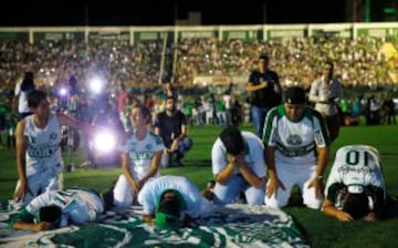 Homenaje del Pueblo Chapecoense en el estadio Arena Condá, este miércoles 30 de noviembre.