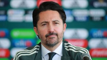 Yon de Luisa, Presidente de la Selección Mexicana de Futbol