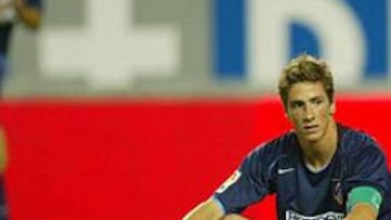 Torres: "No me preocupan las críticas"