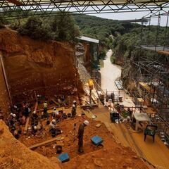 Hallan ADN neandertal de hace 100.000 años en Atapuerca