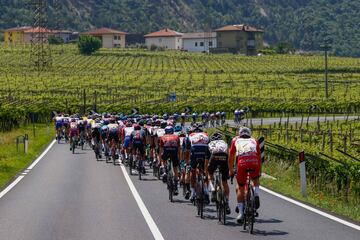 El pelotón en la decimoctava etapa del Giro de Italia 2021. 