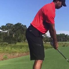 Tiger Woods pide jugar en pantalones cortos: "Quiero enseñar mis piernas de pollo"