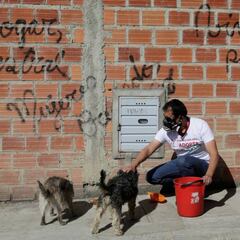 Programa Pytyvõ: cómo habiitar la billetera Zimple para cobrar el subsidio