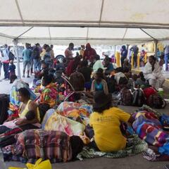 Migrantes haitianos en México: a qué sector se benefició con documentación migratoria