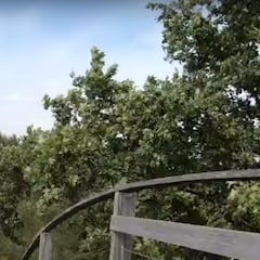 Así es la atracción ‘Tomahawk’, la montaña rusa de Port Aventura sobre la que cayó un árbol