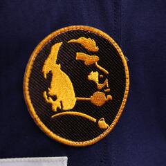 What are the patches the NFL players are wearing on their jerseys on Thanksgiving?