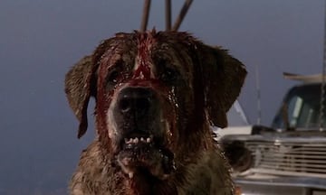 cujo stephen king 1983