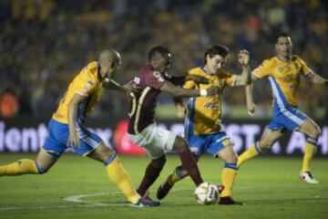 Dura marca de Tigres.