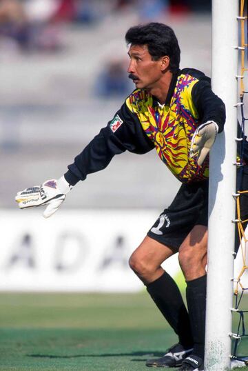 Se formó en el Zacatepec, club de su ciudad, y debutó en 1980. Fue convocado a la Selección Mexicana en 1983 y se adueñó de la titularidad en el Mundial de 1986. Defendió los colores de Cruz Azul, Puebla y Toros Neza. Con ‘La Franja’ ganó el título de Liga en la temporada 89-90.