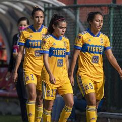 Medina: ''Hasta la tercera o cuarta fecha se verá el nivel óptimo del equipo''