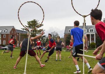 El deporte por excelencia de la saga de Harry Potter. El objetivo final es conseguir más puntos que el equipo rival al introducir una pelota, el quaffle, entre tres aros. El partido termina cuando se captura la snitch, una pelota que cuelga de la cintura de un jugador imparcial.