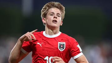 Johannes Moser, Austria Sub-17