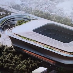 De la Torre, sobre La Rosaleda: “Vamos apretados, pero tenemos tiempo”