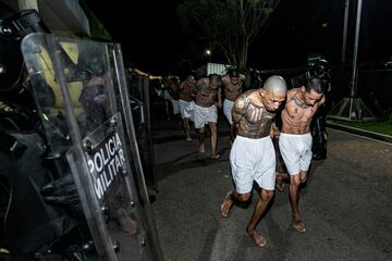 Varios pandilleros son trasladados en medio de un pasillo policial al Centro de Confinamiento del Terrorismo, la nueva mega cárcel construida en El Salvador.