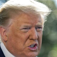 Trump suspends temporary work visas in the United States