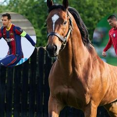 Galileo, el semental que vale más que Cristiano Ronaldo, Leo Messi y Neymar