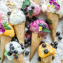 Más de 800 euros por probar helados