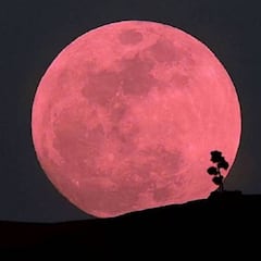 Así fue la Superluna rosa de abril en imágenes