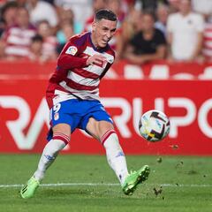 José Callejón, el referente de Aitor Karanka