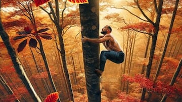 Leo Urban escalando un árbol en el Montseny, Barcelona, con colores otoñales.