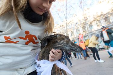 La San Perrestre 2023 se celebra con el objetivo de luchar contra el abandono y el maltrato de animales gracias al dinero recaudado con las inscripciones. La San Perrestre consiste en un tour por el centro histórico de Madrid al que asisten los participantes y sus perros. Además, se dan las ‘can panadas’, en las que las mascotas comen 12 bolas de pienso.
