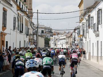 El pelotón durante la decimocuarta etapa de la Vuelta.
