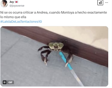 Los mejores memes de ‘La isla de las tentaciones’