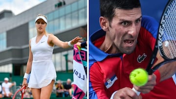 Genie Bouchard y Novak Djokovic, durante sus partidos en Wimbledon y los Juegos Ol&iacute;mpicos de Tokio respectivamente.