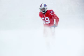 El New Era Field de Buffalo se pintó de blanco con la espectacular nevada que cayó en el juego entre los Indianapolis Colts y los Buffalo Bills. El juego terminó 13-7 en favor de los Bills. La temperatura estaba en -2 grados centígrados con vientos de 29 kilómetros por hora.