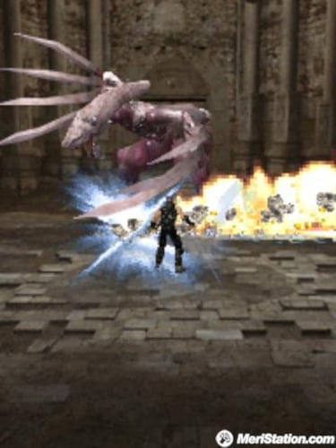 Ninja Gaiden Dragon Sword, Impresiones