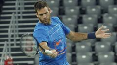 Del Potro también rechaza el festejo provocador de Teo